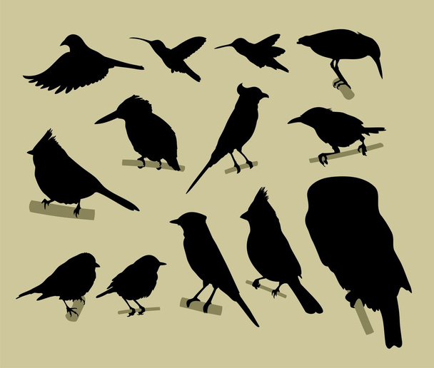 Silhouette of the birds - Vector, imagen