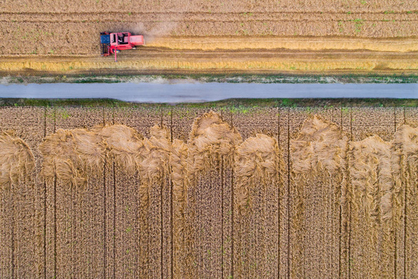 Вид сверху комбайна, работающего на пшеничном поле летом, стреляют с дрона
 - Фото, изображение