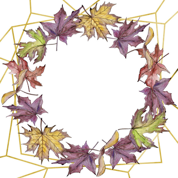 Maple leaf. Leaf plant botanical garden floral foliage. Frame border ornament square. - Фото, зображення