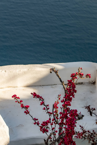 Isla griega, isla de Santorini
 - Foto, imagen
