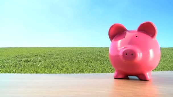 グリーン投資環境の将来のためのお金豚の概念ショット - 映像、動画