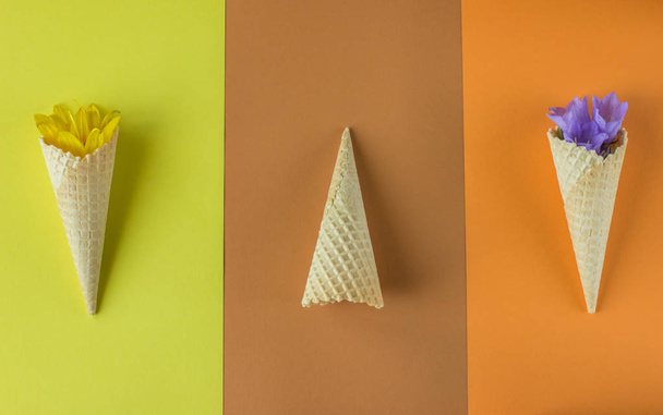 three waffle cones with flowers, festive minimalism, top view - Fotó, kép
