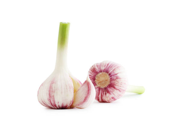 young fresh garlic on white background - Photo, Image