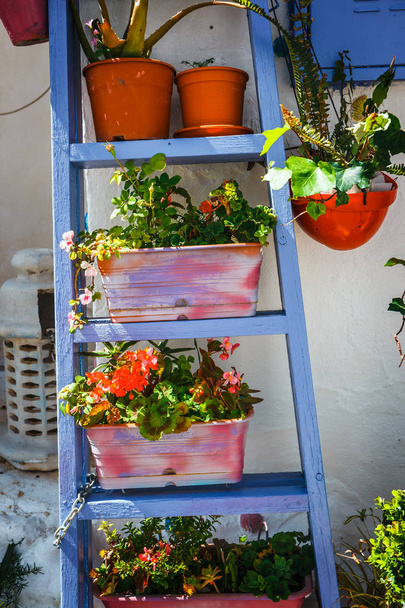 ingericht gevel van huis met bloemen in blauwe potten in Mijas, Spanje - Foto, afbeelding