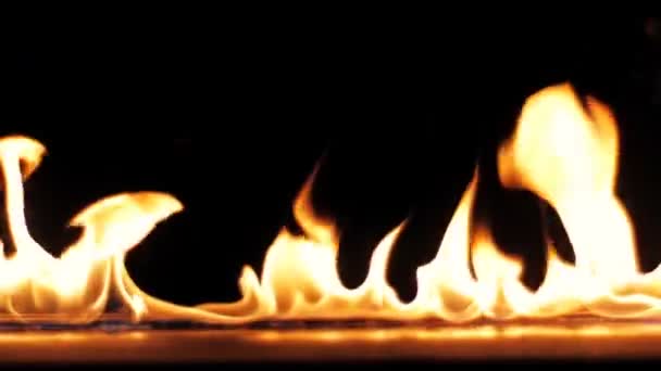 Tűz a lángok, elégették és égető - lassú mozgás. Egy sor valódi lángok gyullad meg a fekete háttér. Is néz ki a tűz, vagy grill projekt. Valódi tűz.  - Felvétel, videó