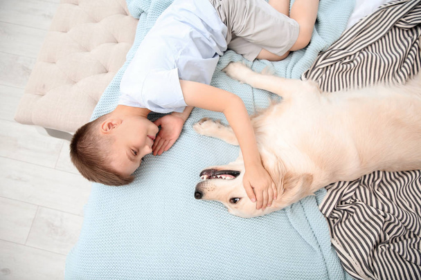 Cute little child with his pet on bed at home - Fotografie, Obrázek