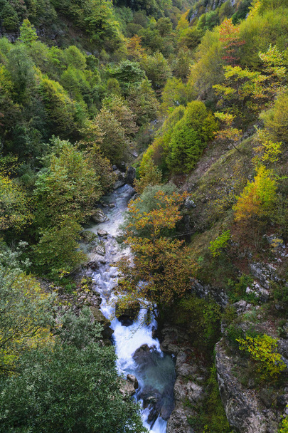 Een Creek stroomt door een kloof live met herfst kleuren in gouden uur. - Foto, afbeelding