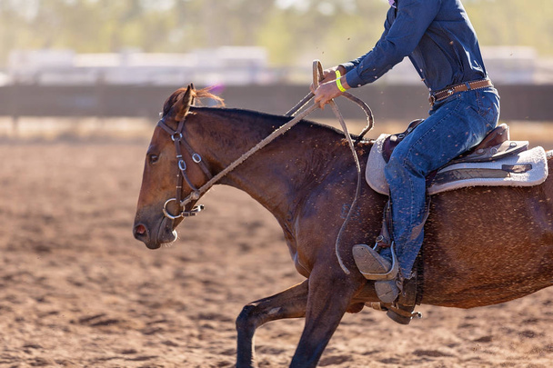 Lähikuva hevonen ja cowboy kilpailevat leirin luonnos tapahtuma pölyinen areenalla rodeo
 - Valokuva, kuva