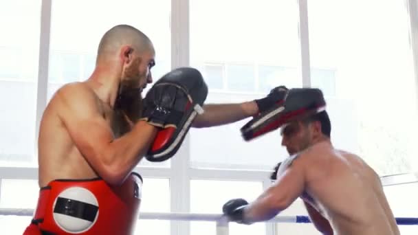 Dois lutadores mma masculinos treinando sem camisa no ginásio
 - Filmagem, Vídeo