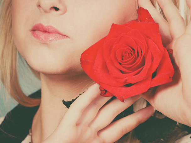 Mujer de cerca sosteniendo rosa roja cerca de la cara. Atractiva joven rubia hembra con flor. Belleza, vacaciones, concepto de celebración. Imagen tonificada
 - Foto, imagen