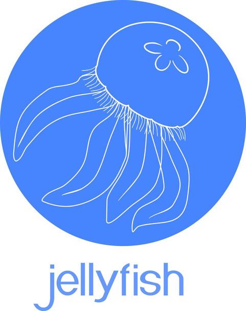 Blue jellyfishes or Aurelia aurita on blue background with title - Vektör, Görsel