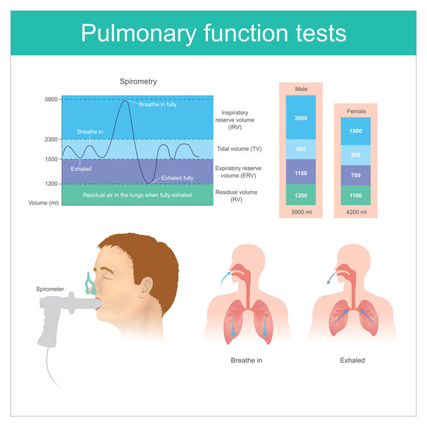 Légzésfunkció vizsgálat. Tesztelés a során tüdőben levegő mennyisége lélegezze be, és kilégzés teljesen. - Vektor, kép
