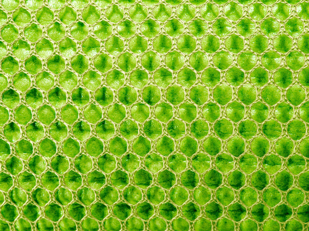 Schwamm-Schaumstofffolie Textur der Matte für Yoga-Aktivitäten in der Nylonnetztasche - Foto, Bild
