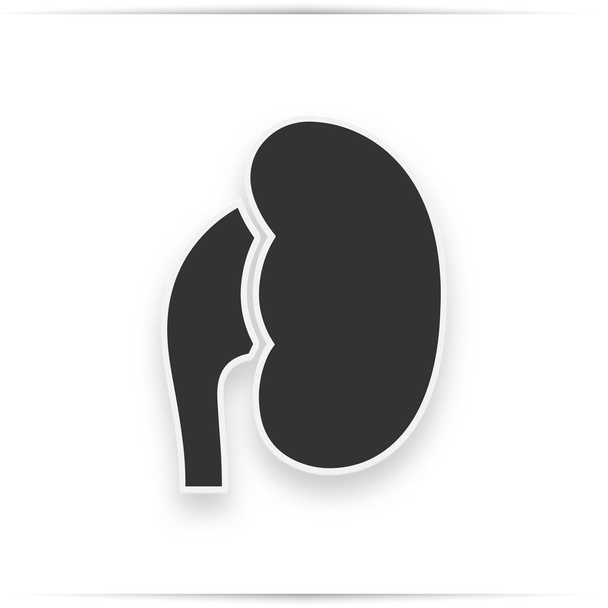 Eenvoudige pictogram van menselijke nieren. - Foto, afbeelding