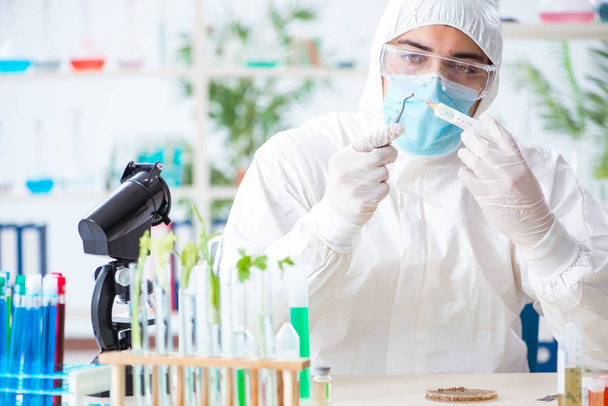 Biochimico maschile che lavora in laboratorio sulle piante - Foto, immagini