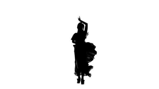 Dancer turns in an incendiary dance of Argentine flamenco. White background. Silhouette - Felvétel, videó