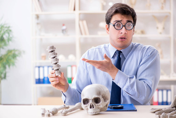 Divertente professore pazzo che studia scheletro umano - Foto, immagini