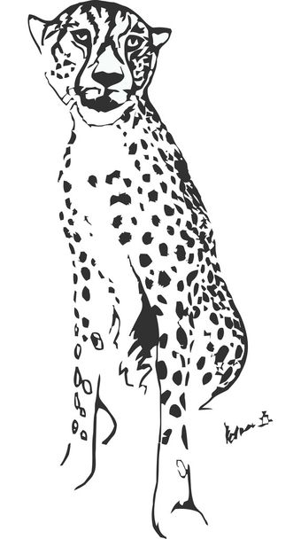 fiatal gepárd - Vektor, kép
