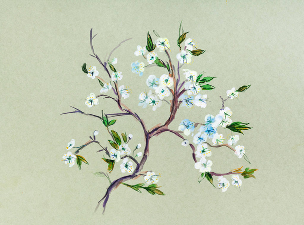 Blossoming branch of plum tree - Photo, image