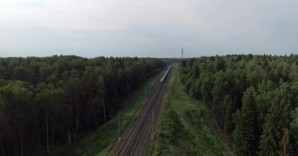 Sapsan train, railroad, Russia __CC__, - Felvétel, videó
