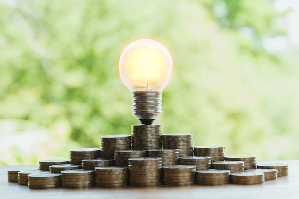 Energy saving light bulb and tree growing on stacks of coins on nature background. Saving, accounting and financial concept. - Photo, Image