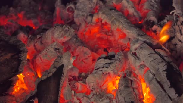 Close-up van gloeiende vlammen van houtskool en brandhout in oven. abstracte achtergronden - Video