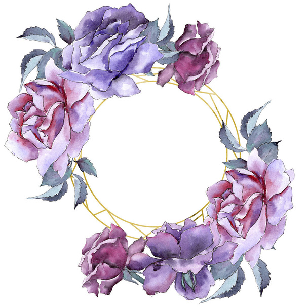 Rose colorée. Fleur botanique florale. Cadre bordure ornement carré
. - Photo, image