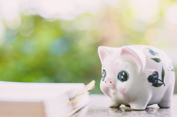 Piggy bank with opened book on blurred natural green background for save money and education financial concept - Фото, зображення