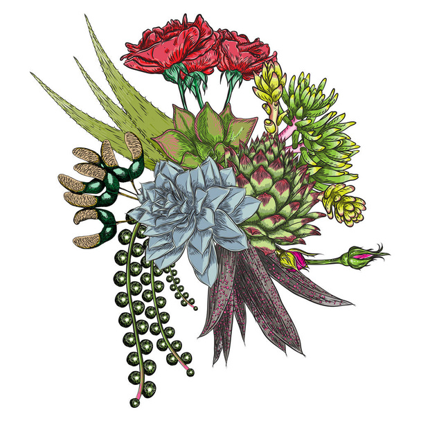 Flowers bouquet. Floral collection with various exotic jungle plants. Air plant, cactus, succulent, Bromelia, aloe vera, Houseplant, roses. For wedding and women day cards design purpose. Vector. - ベクター画像
