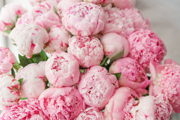 Ταπετσαρία. Όμορφα λουλούδια ροζ παιώνιες. Ανθοσυνθέσεις, φως της ημέρας. - Φωτογραφία, εικόνα