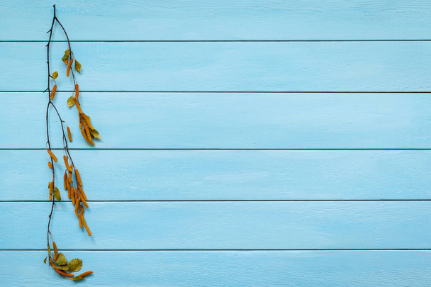 Blue wood texture background with dry branch. Old wood planks painted with blue color. - 写真・画像