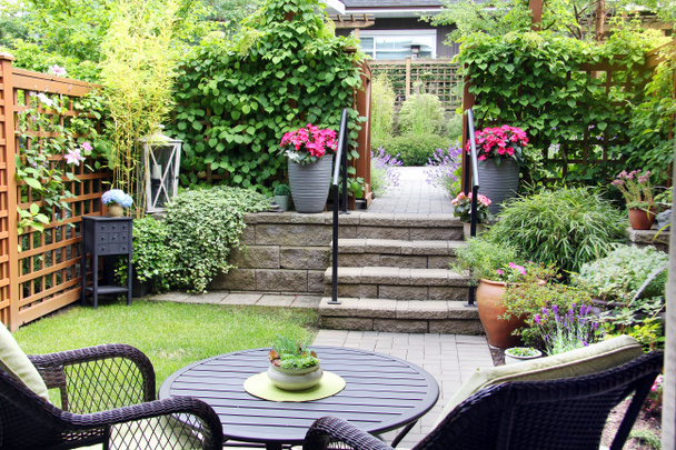 Невеликий літній сад таунхаусів, з квітучою багаторічною лавандою та квітами бегонії
.  - Фото, зображення