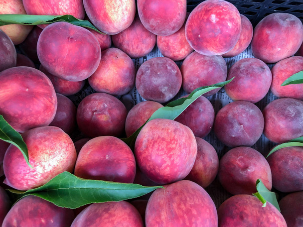 Ripe peaches. Fruit, vitamins.  Summer healthy food - Foto, Imagen
