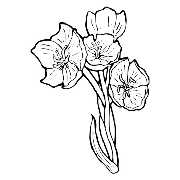 realistische Blumenillustration - Vektor, Bild