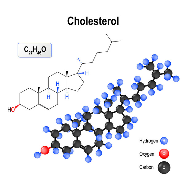Il colesterolo è una molecola lipidica organica (o steroide modificato) componente strutturale di tutte le cellule animali. Struttura di una molecola. formula chimica e modello della molecola di colesterolo. illustrazione vettoriale per uso medico, educativo e scientifico
 - Vettoriali, immagini