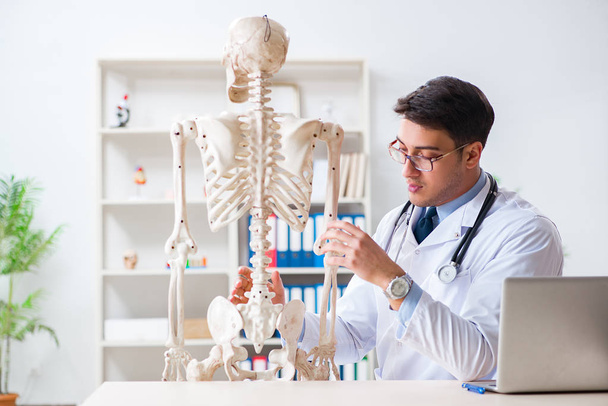 Yong medico maschio con scheletro isolato su bianco - Foto, immagini