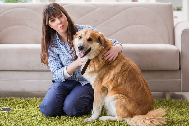 Mujer feliz dueño del perro en casa con golden retriever - Foto, imagen