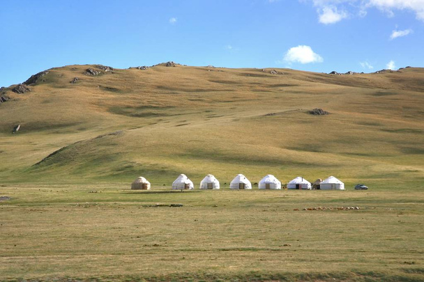  Ger camp dans une grande prairie à Oulan-Bator, Mongoli
 - Photo, image
