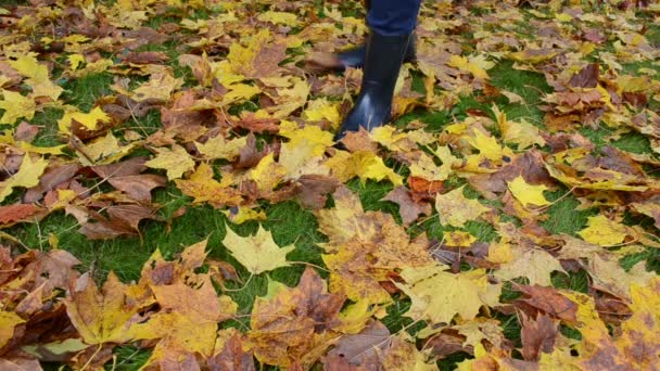 Frau Gummistiefel spielen bunten Herbst Ahorn Baum Blätter Wiese - Filmmaterial, Video
