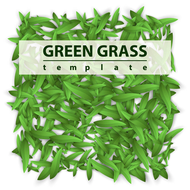 Square template grass. Green leaf. - Vektori, kuva