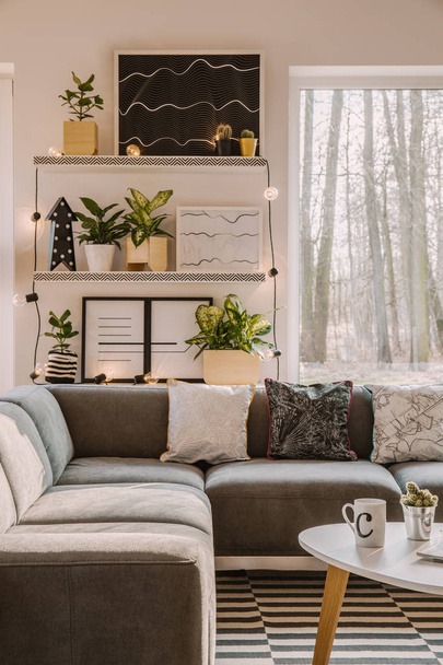 Sofá de esquina gris en el interior de la sala de estar moderna con luces y plantas en estantes con carteles
 - Foto, Imagen