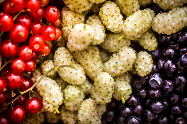 fresh mulberry with blueberries macro shot concept of healthy food and vitamins - Foto, Bild
