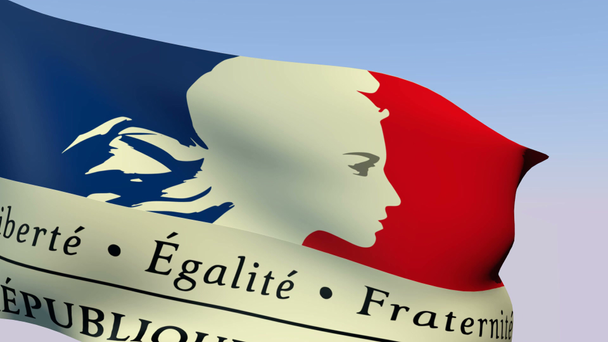 Flaga rządu Republiki Francji - Materiał filmowy, wideo
