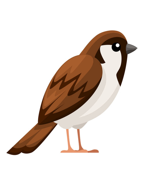 Sparrow bird. Flat cartoon character design. Colorful bird icon. Cute sparrow for world sparrow day. Vector illustration isolated on white background. - Vector, Image