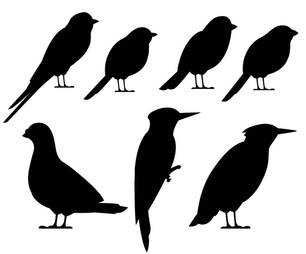 Bird black silhouette collection. Pigeon, Sparrow, Titmouse, Swallow, Woodpecker, Starling, Bullfinch. Flat birds icon. Vector illustration isolated on white background. - Vector, imagen