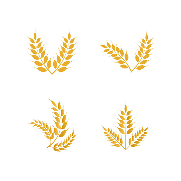 Вектор шаблонов иконок пшеницы желтого цвета
 - Вектор,изображение