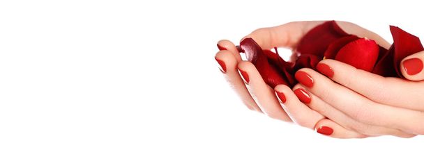 Красивые женские ногти с красным ногтем крупным планом на лепестках. Идеальный маникюр. Женские руки с маникюром красные ногти крупным планом и розы. Уход за кожей и ногтями
. - Фото, изображение
