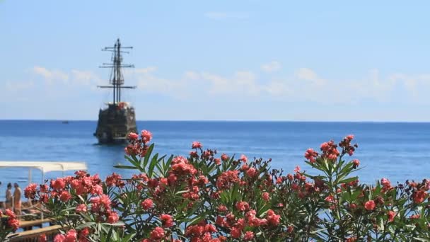 Zakkumlar çiçek ve turistik Yelkenli tekneler, Kemer, Türkiye - Video, Çekim