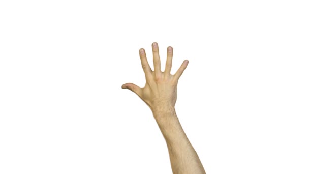Αρσενική χέρι με δάχτυλα σε λευκό φόντο - Πλάνα, βίντεο
