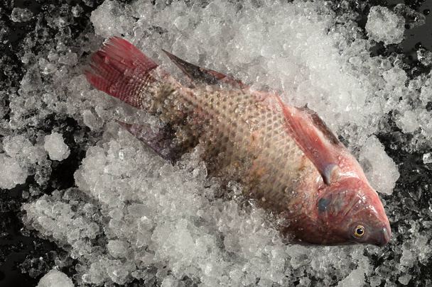 Fresh Nile tilapia on ice and wooden background - Foto, imagen